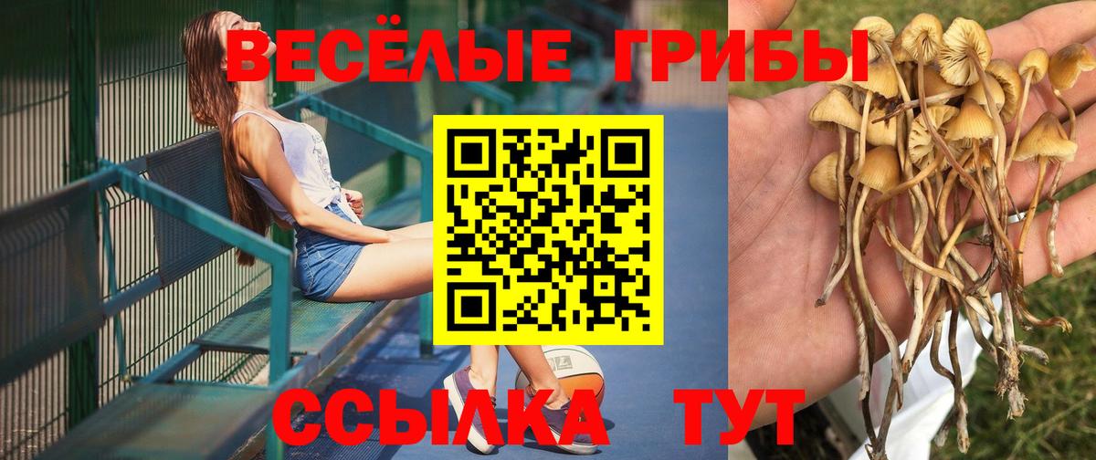 Галлюциногенные грибы Psilocybine cubensis  Вход с VPN  Галлюциногенные грибы мухоморы  Нефтекумск 